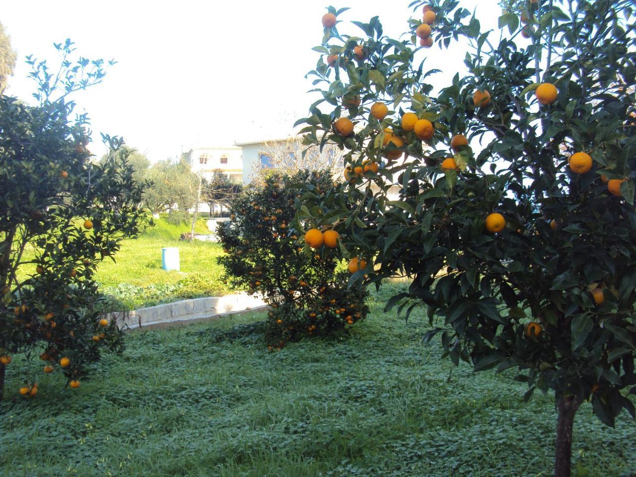 Villa Nostos Koroni  Exterior photo